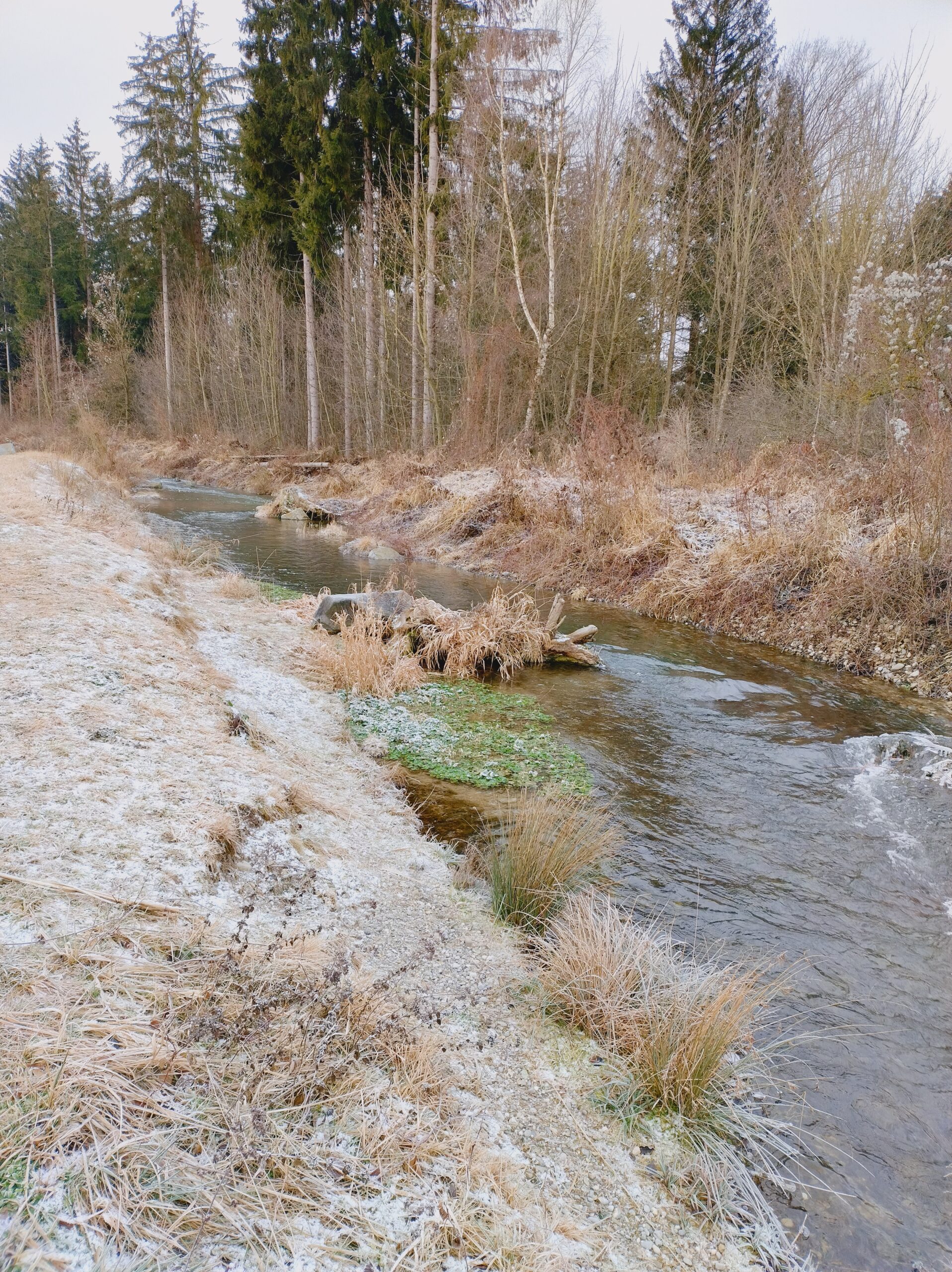 IMG_20250113_113745723_HDR Kopie