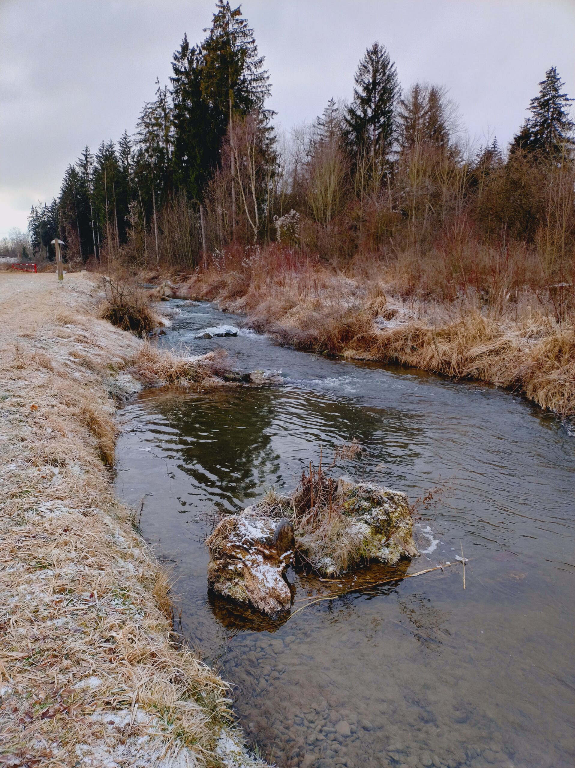 IMG_20250113_113844902_HDR Kopie