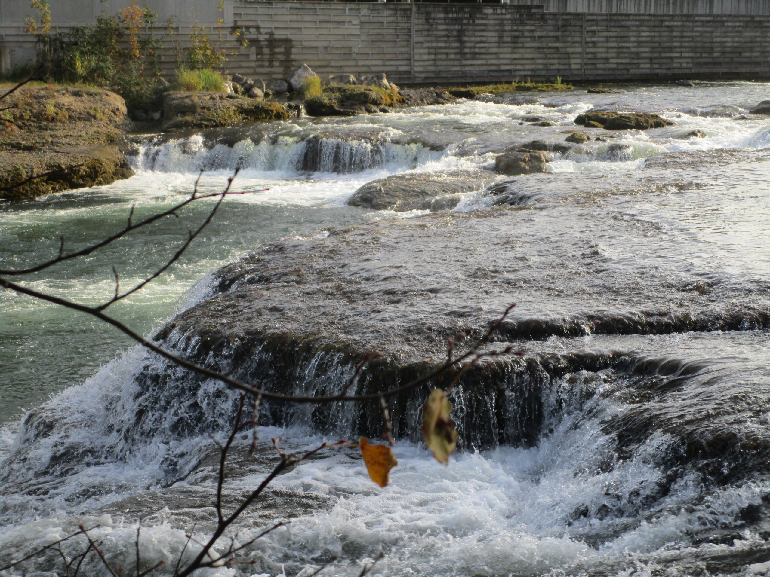 IMG_8070 Kopie